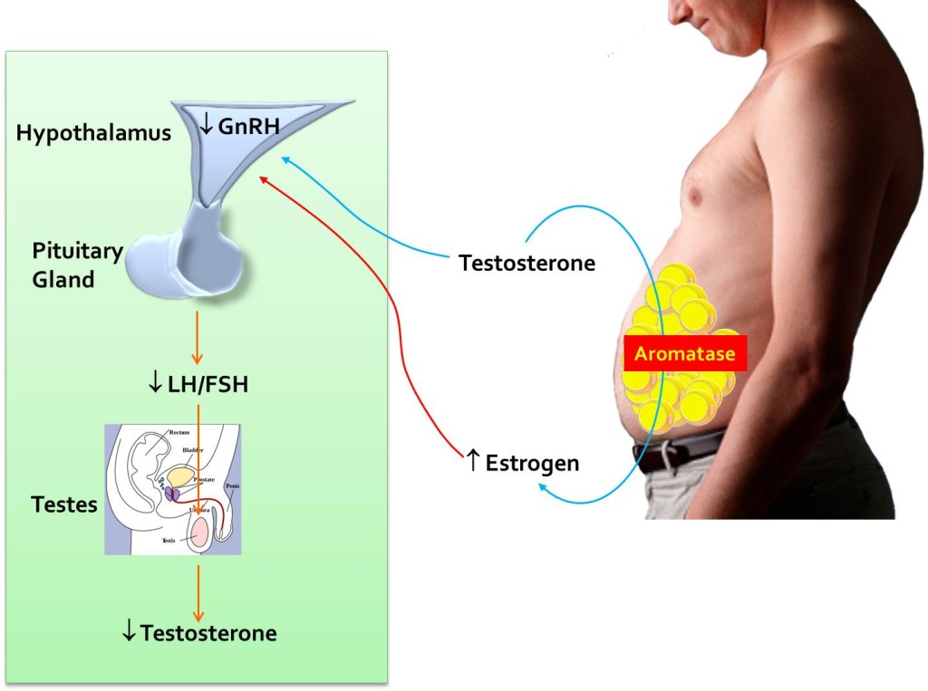 Low Hormone Levels In Men