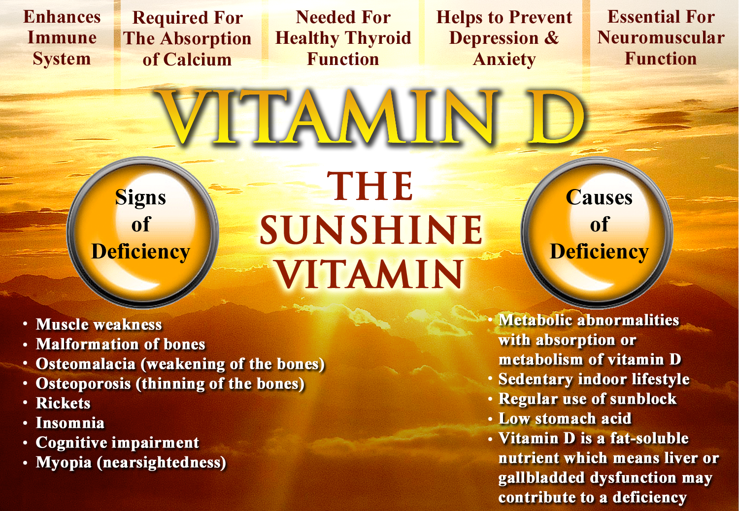 download sun and vitamin d