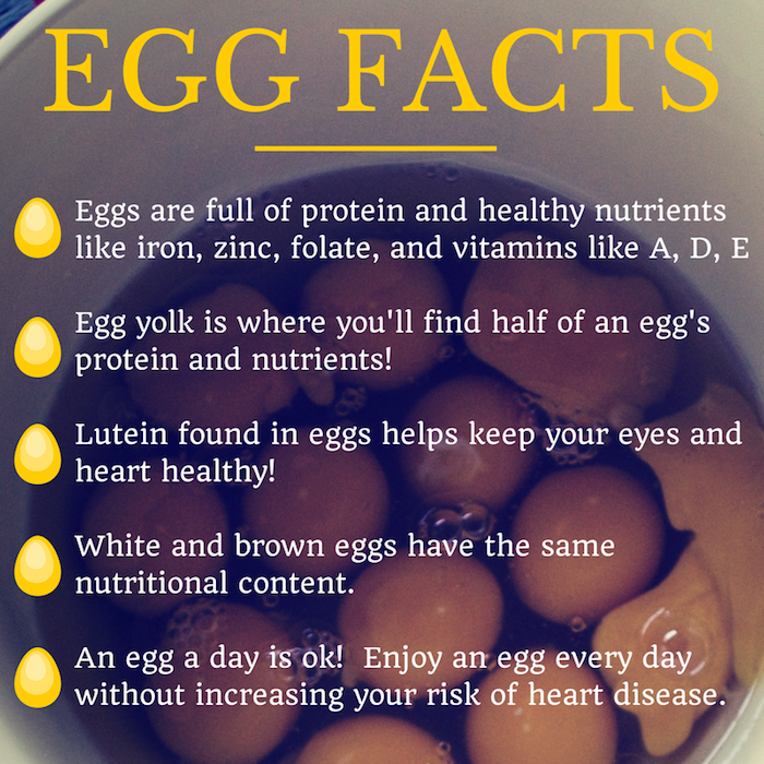 10 Key Health Benefits Of Eggs