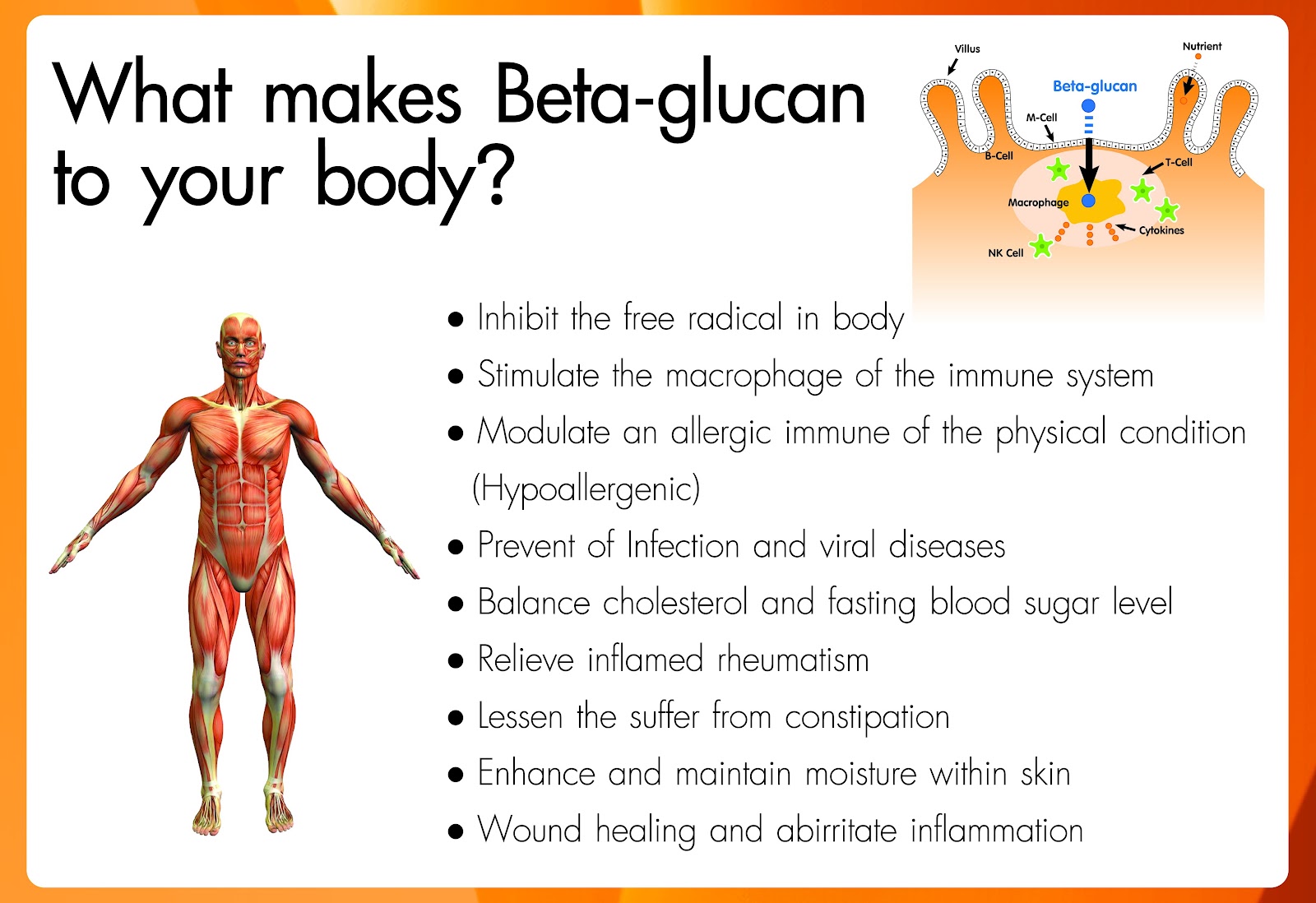 Beta Glucan And The Fight Against Cancer - DrJockers.com