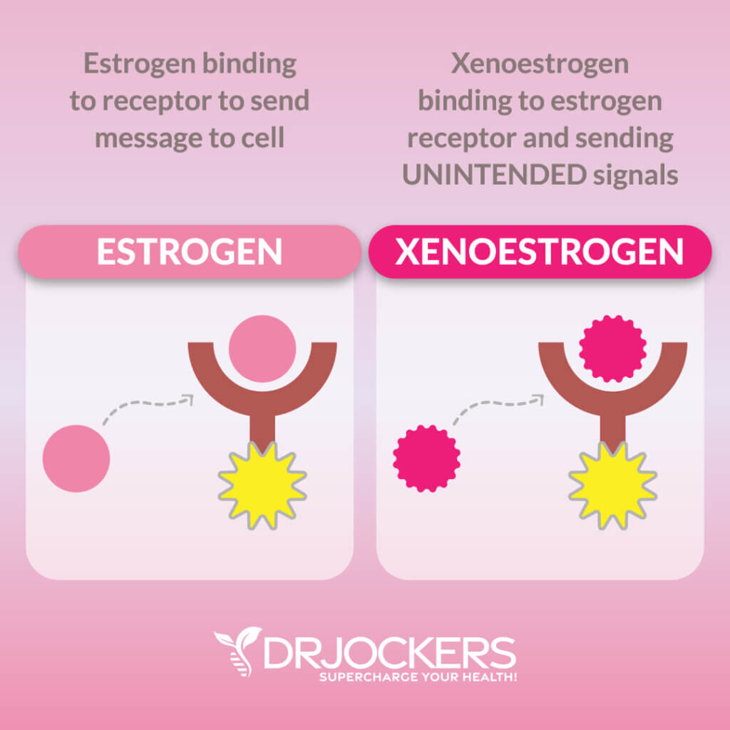 Tips To Balance Estrogen Levels Naturally Drjockers