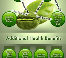 Brown seaweed fat loss picture 1