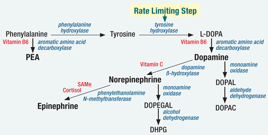 Boost Up Dopamine For Motivation And Focus - DrJockers.com