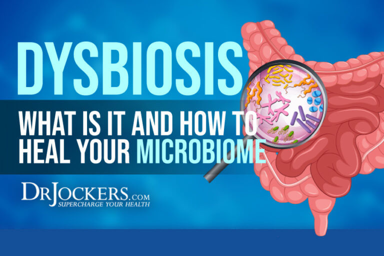 Dysbiosis What Is It And How To Heal Your Microbiome Drjockers