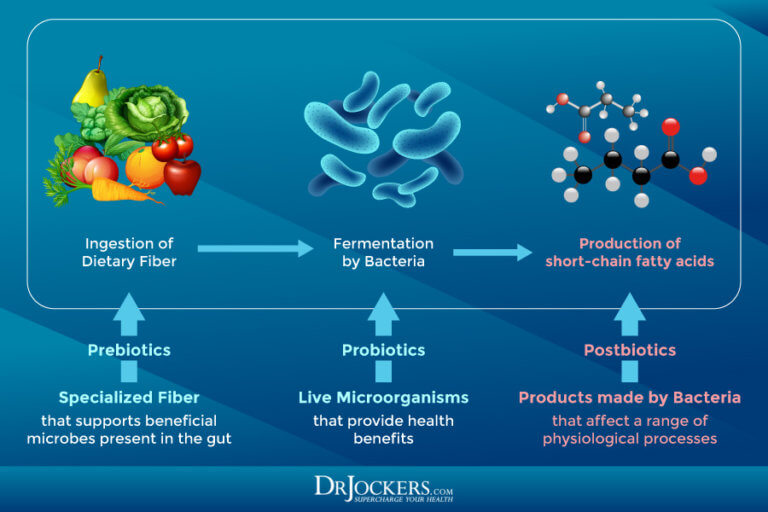 Postbiotics Best Sources For Gut Health And Inflammation Levels