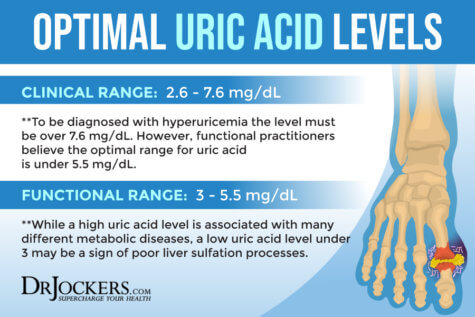 Uric Acid A Key Player In Cardio Brain And Metabolic Diseases