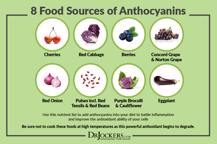 anthocyanins, Prevent Cancer and Heal with Anthocyanins