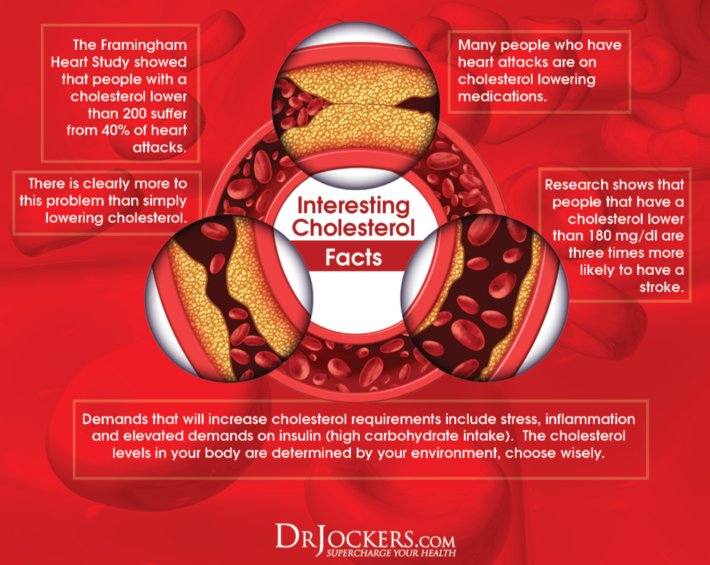 cholesterol, The Great Cholesterol Myth