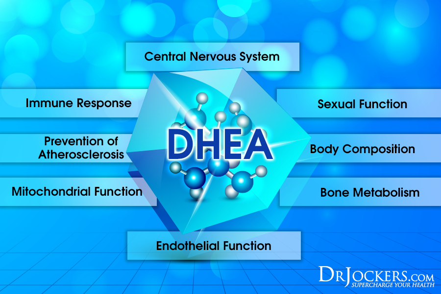 DHEA levels, 10 Tips to Boost DHEA Levels For Healthy Skin and Hormones