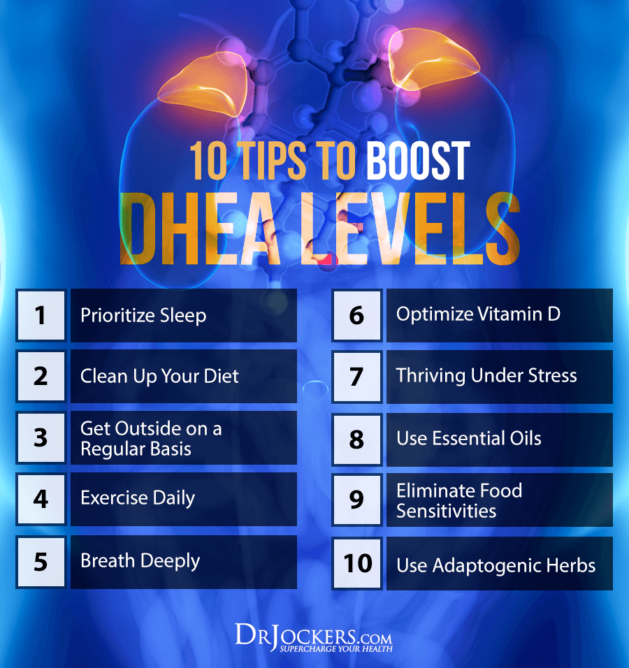 DHEA levels, 10 Tips to Boost DHEA Levels For Healthy Skin and Hormones