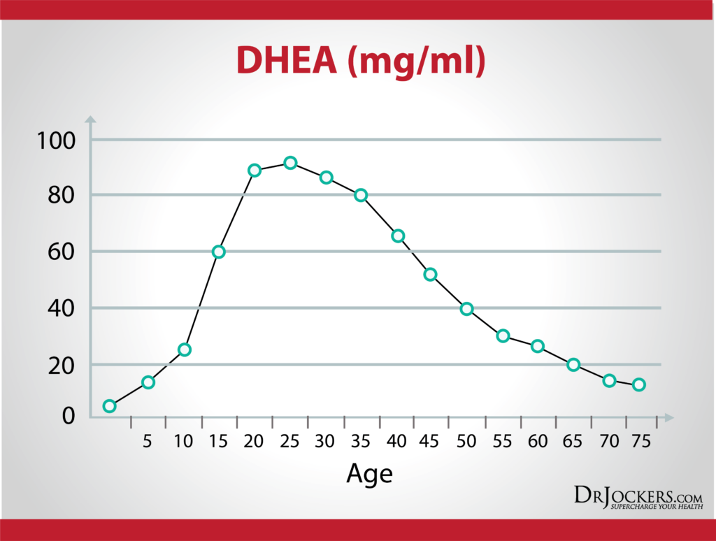 Dhea Levels Fertility at Peter Sinkler blog