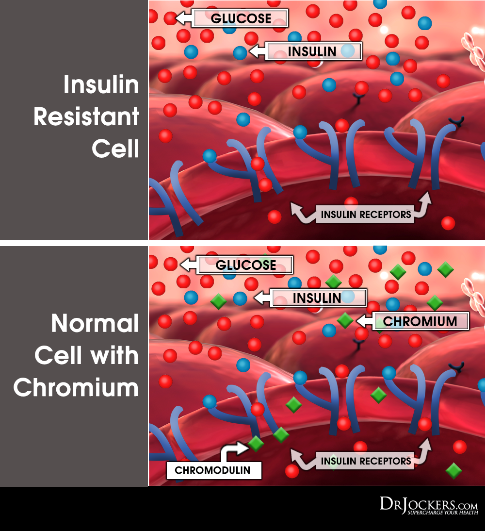 Body Fat Percentage In Women - How One Can Can Be Freed From Of It