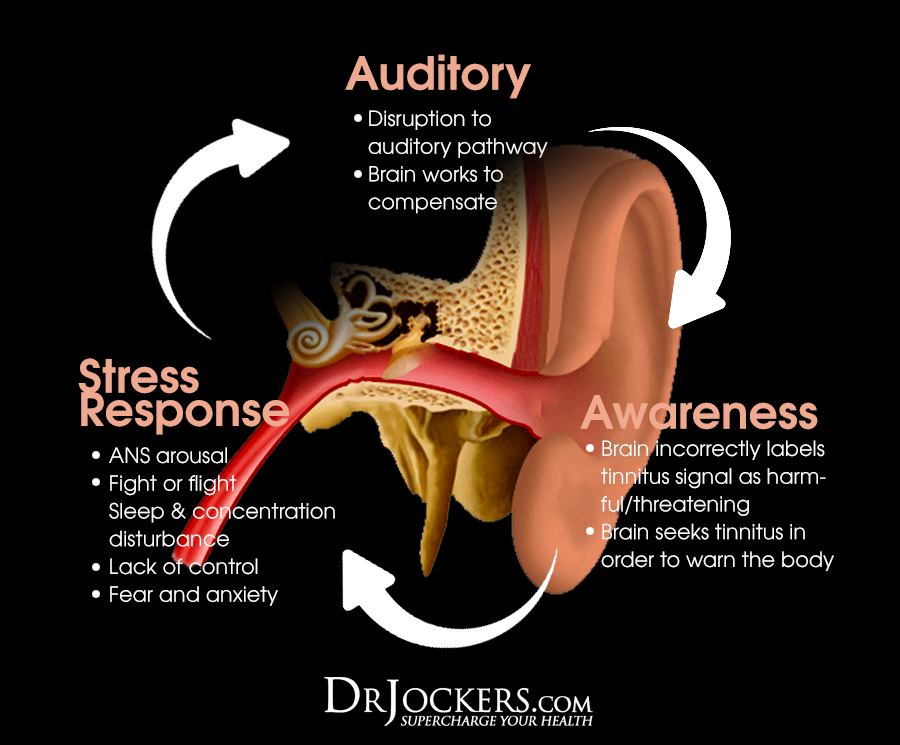 Tinnitus, Tinnitus: Symptoms, Causes and Natural Support Strategies