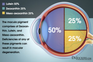 The Top 7 Nutrients To Improve Your Vision Naturally