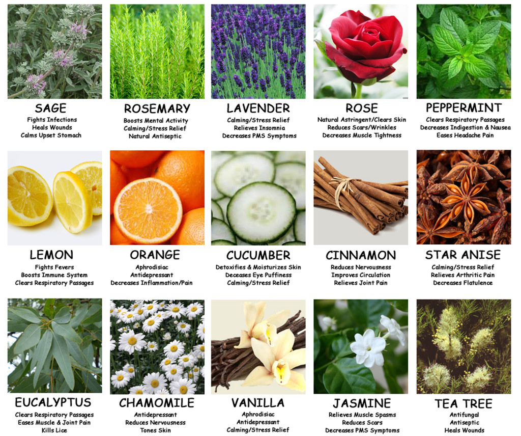 Essential Oils And Uses Chart