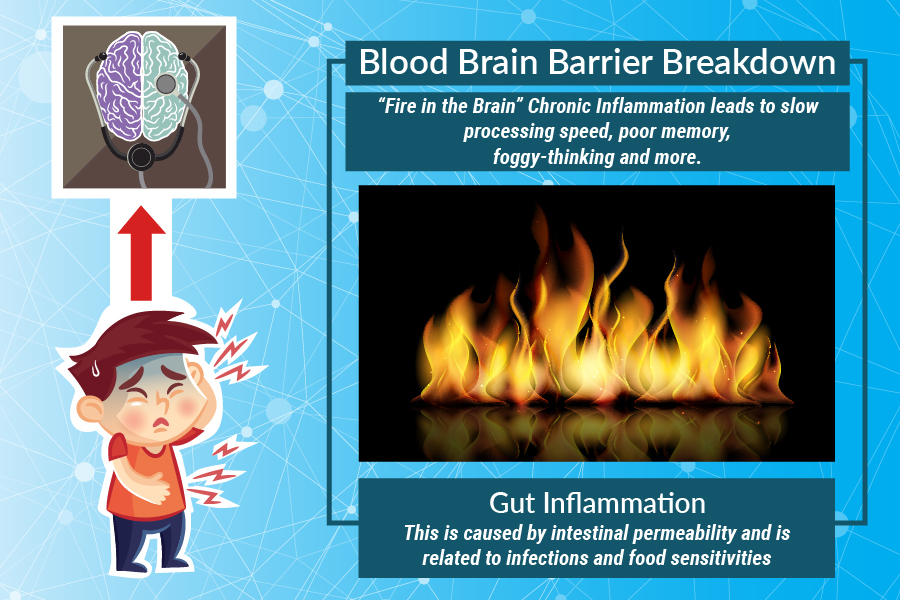 brain inflammation, Are You Causing Brain Inflammation with Your Lifestyle?