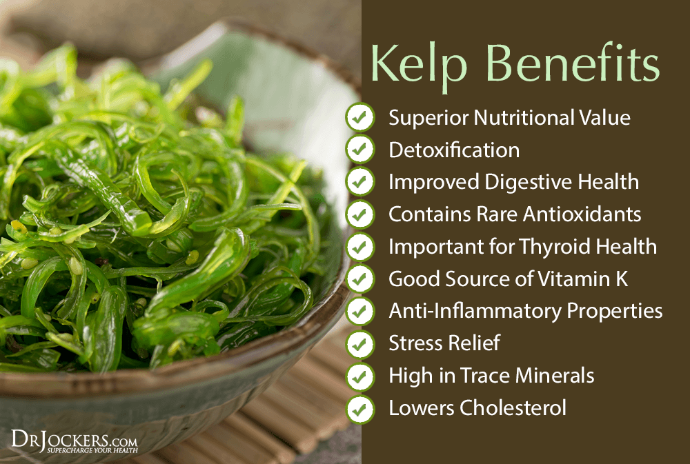 kelp, 6 Major Health Benefits of Sea Kelp