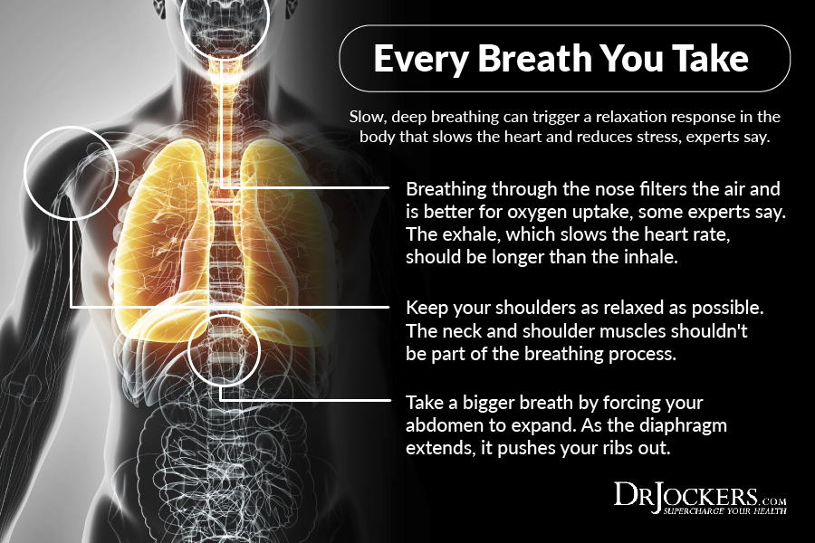 breathing, The Revitalizing Power of Breathing