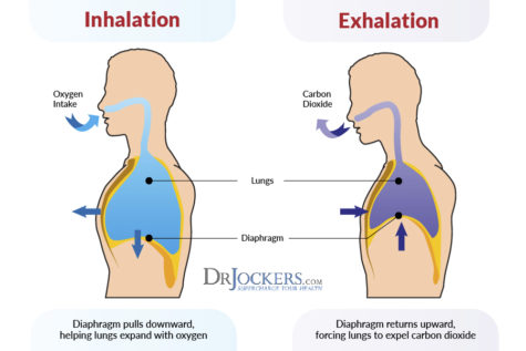 The Revitalizing Power of Breathing - DrJockers.com