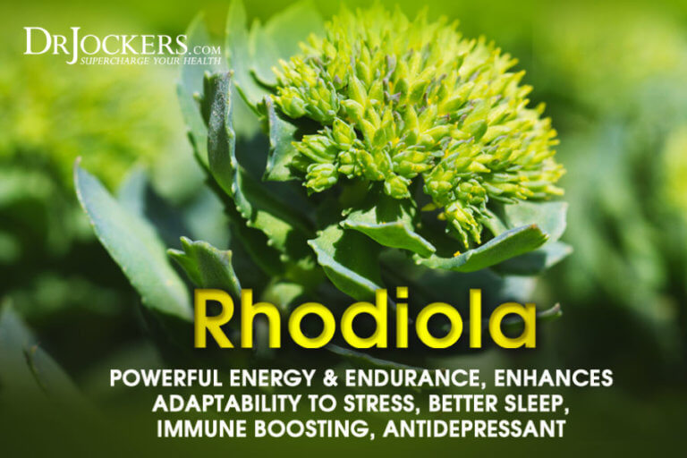 Top 6 Health Benefits of Rhodiola
