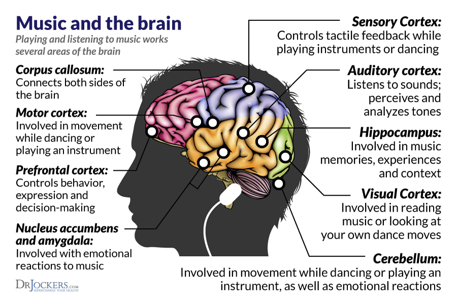 music improves brain