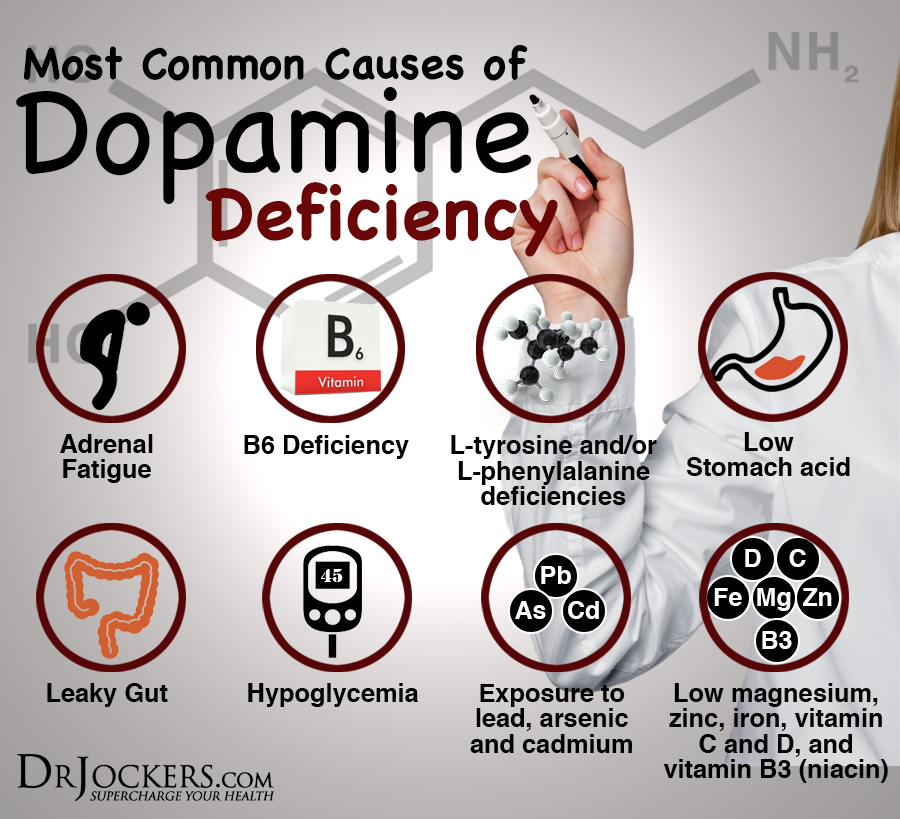 6 Great Foods That Increase Dopamine Levels - DrJockers.com