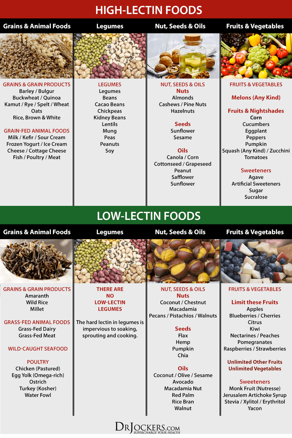 Lectins, Why You Should Avoid Lectins in Your Diet!