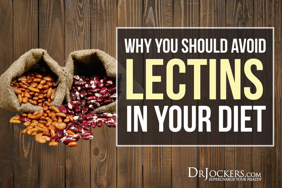 Lectins, Why You Should Avoid Lectins in Your Diet!