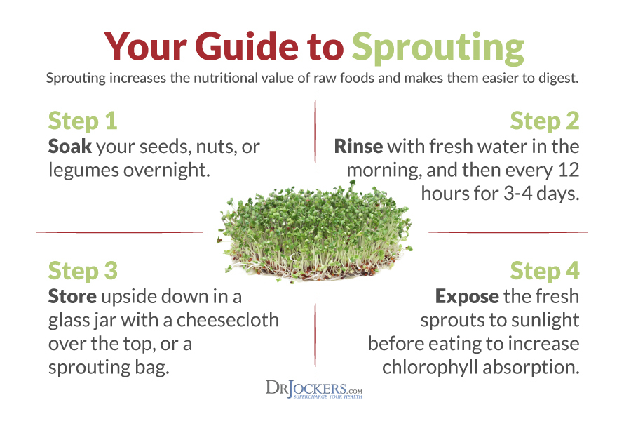 broccoli sprouts, Broccoli Sprouts: Top 6 Health Benefits for Gut &#038; Hormones