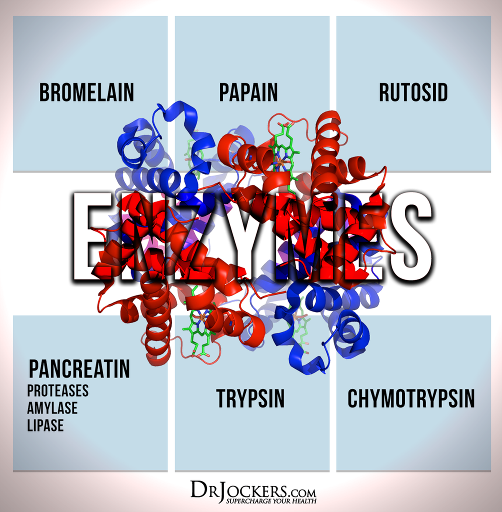 Systemic Enzymes, Systemic Enzymes are a Powerful Immune Support