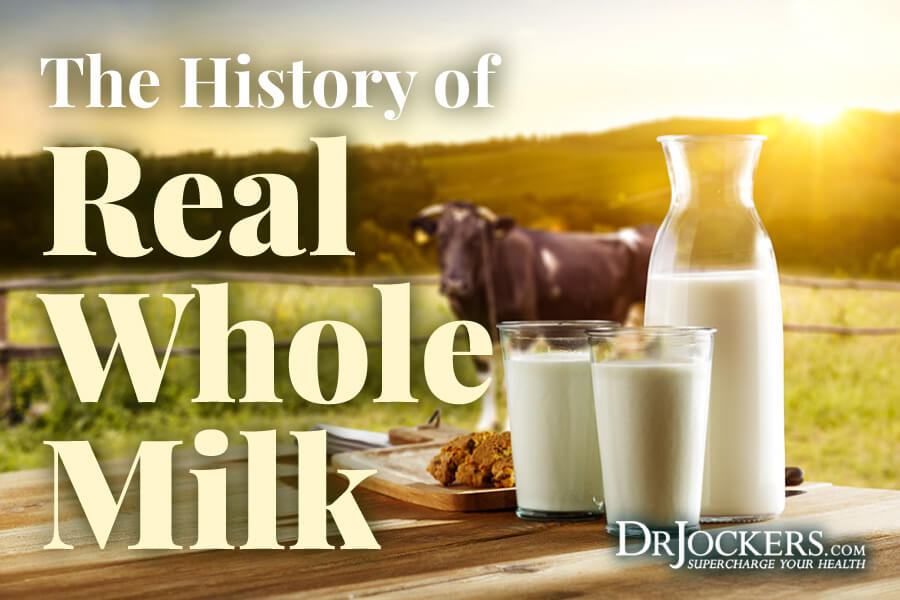 whole milk, The History of Real Whole Milk