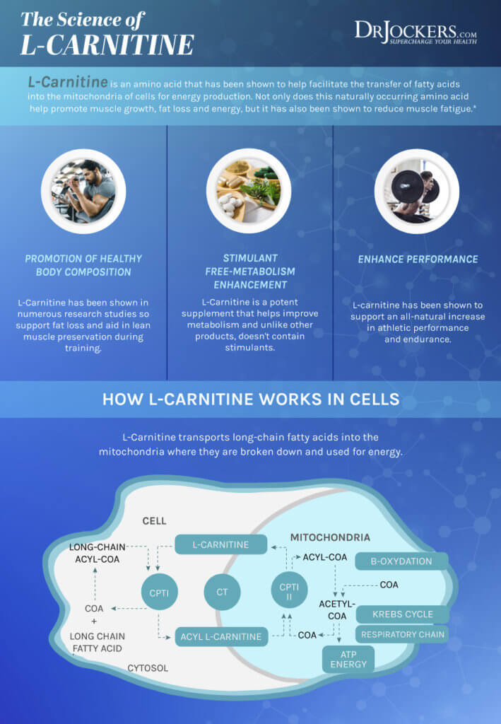 Carnitine Top 3 AntiAging Benefits of This Super Nutrient