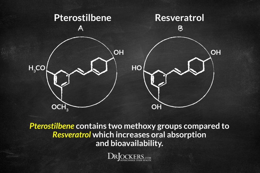 Resveratrol, 4 Powerful Health Benefits of Resveratrol