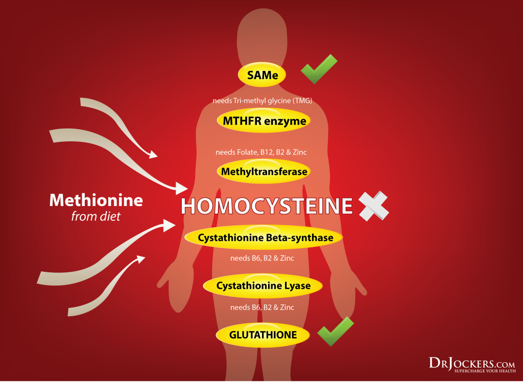 Homocysteine levels, What are Your Homocysteine Levels?