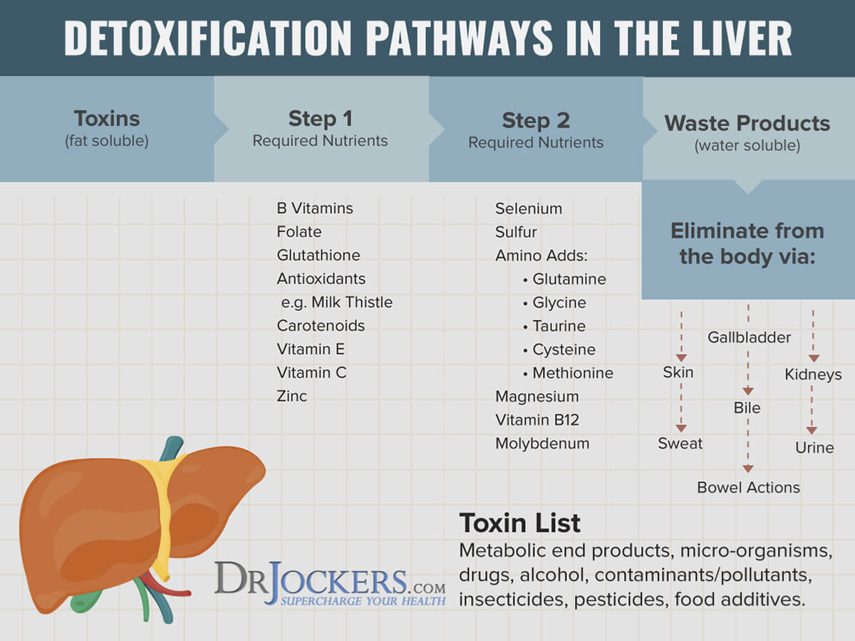 Detoxification, 8 Proven Ways to Improve Your Detoxification System