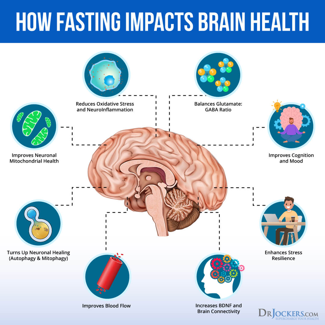 4-ways-intermittent-fasting-improves-brain-function