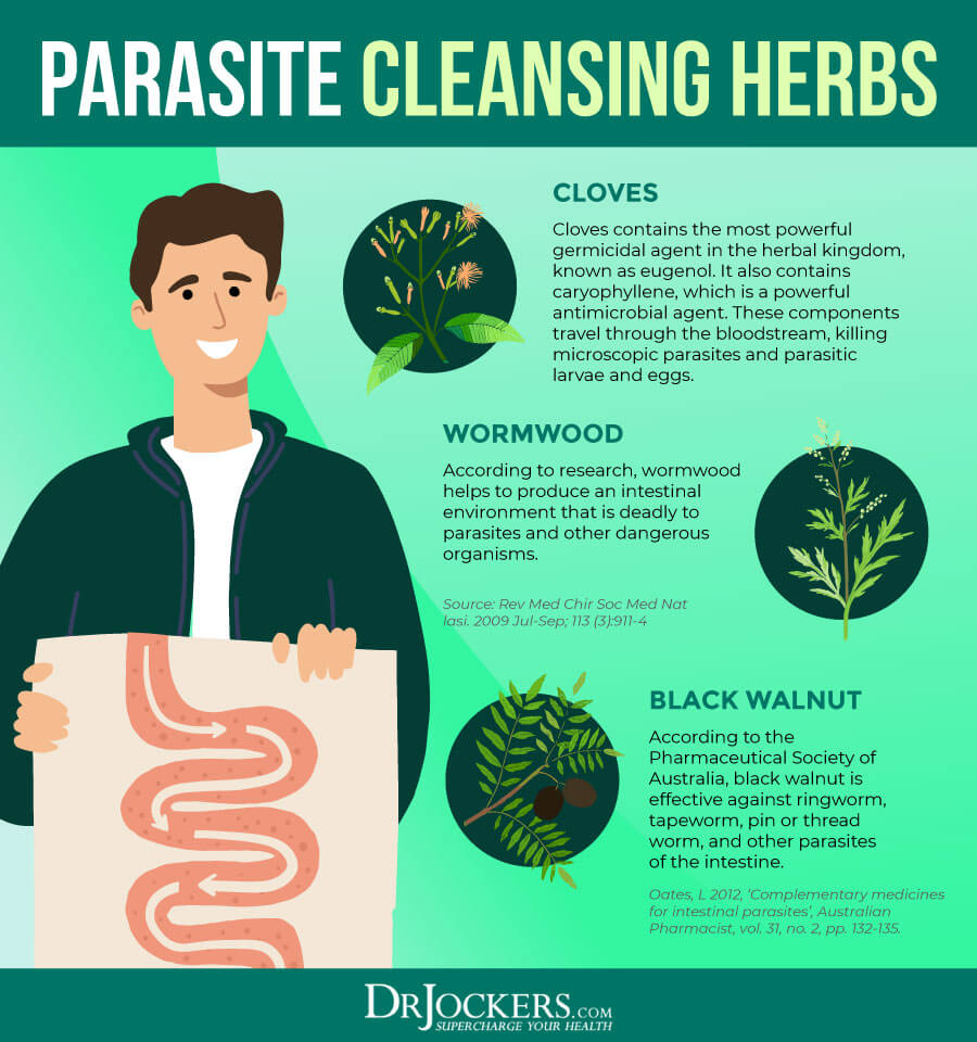 Kill Parasites, 12 Herbs That Kill Parasites Naturally
