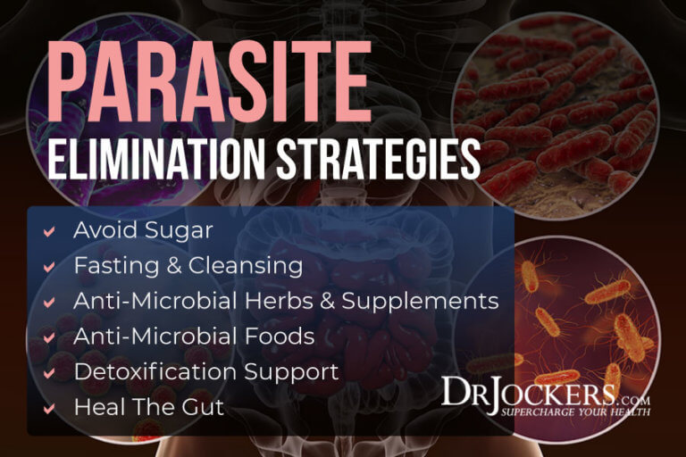 12 Herbs That Kill Parasites Naturally