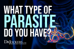 What Type of Parasites Do You Have? - DrJockers.com