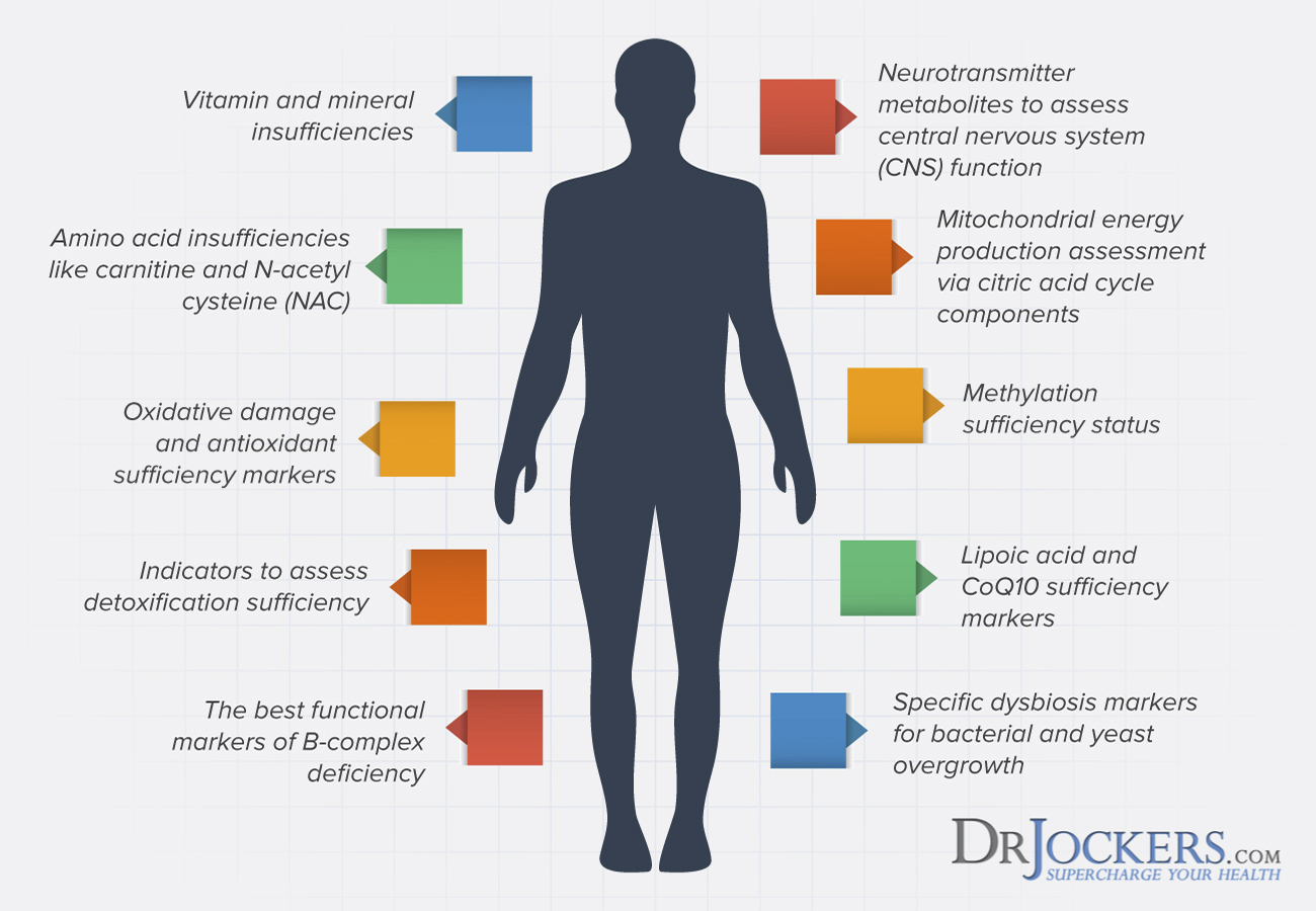 organic acids, Organic Acids Test: Analyzing this Functional Health Test