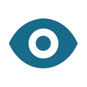visionicon