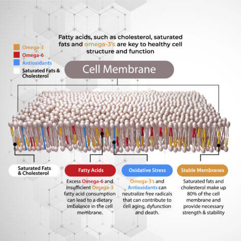 woman craving red meat