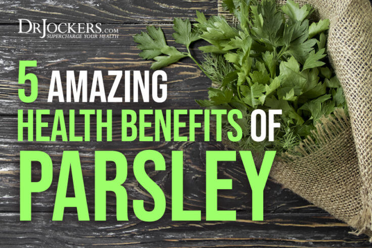 5 Amazing Health Benefits Of Parsley And Recipes 9751