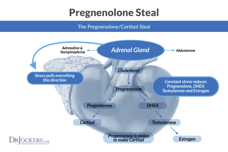 fatigue, The 7 Key Phases of Adrenal Fatigue