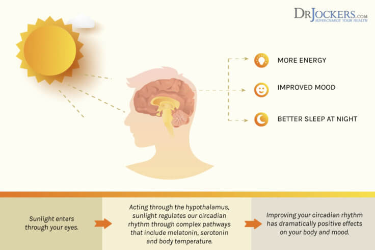 increase-vitamin-d-absorption