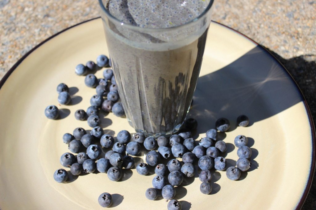 blueberry shake