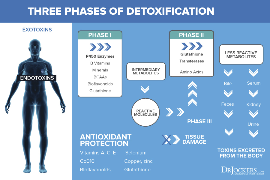 Detoxification, 8 Proven Ways to Improve Your Detoxification System