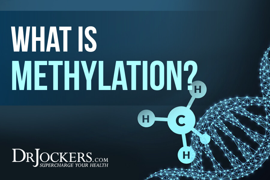 methylation, Understanding the Role of Methylation in Human Health