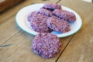 coconut flake cookies, Blueberry Coconut Flake Cookies