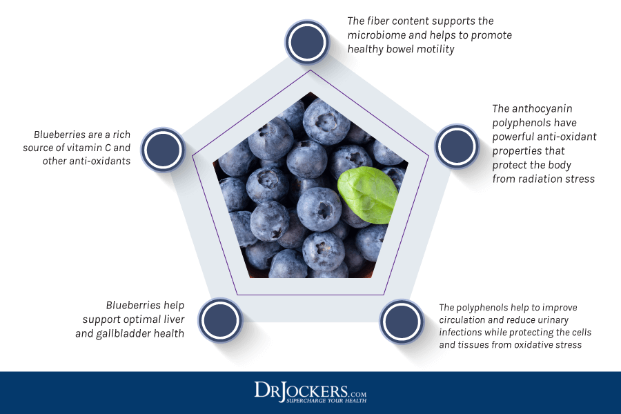 blueberries, 9 Ways Blueberries Boost Brain Function